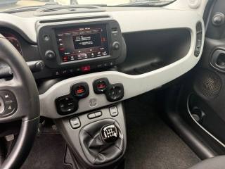 FIAT Panda usata 17