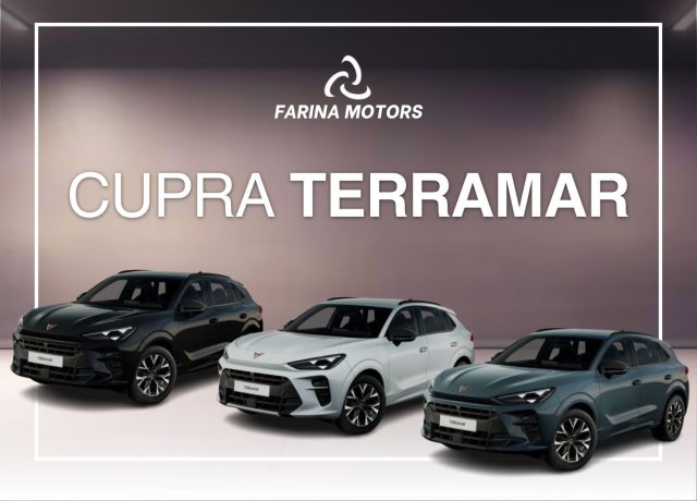 CUPRA Terramar usata, con ABS