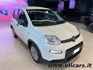 FIAT Panda 1.0 FireFly S&S Hybrid - PREZZO SENZA FINANZIAMENT