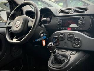 FIAT Panda usata 20