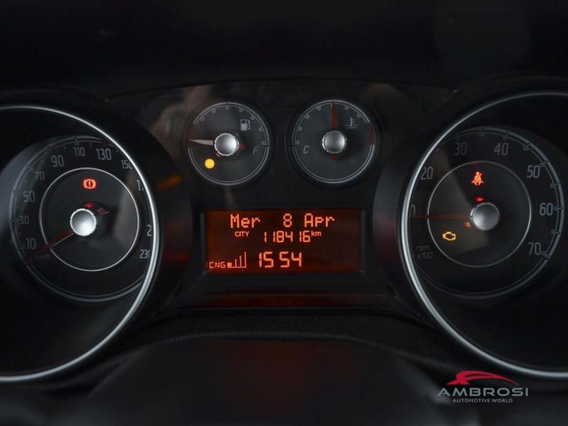FIAT Punto usata 12