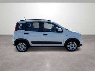 FIAT Panda usata, con Controllo trazione