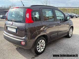 FIAT Panda usata 5