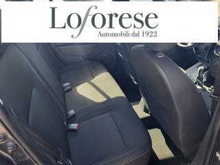 DACIA Logan usata, con Fendinebbia