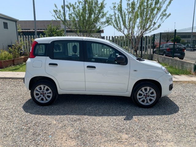 FIAT Panda usata, con Alzacristalli elettrici