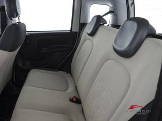 FIAT Panda usata 9