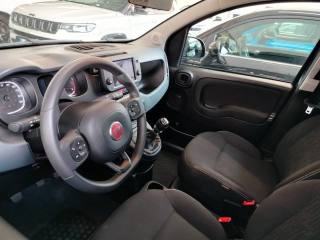FIAT Panda Cross usata 17