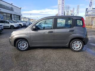 FIAT Panda usata, con Autoradio