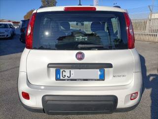 FIAT Panda usata, con Chiusura centralizzata