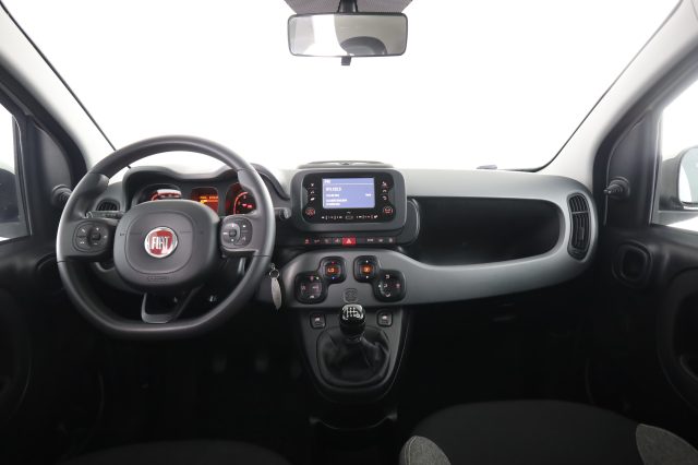FIAT Panda usata 4