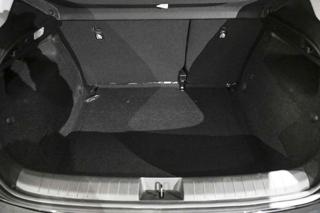 FIAT Tipo usata, con Boardcomputer
