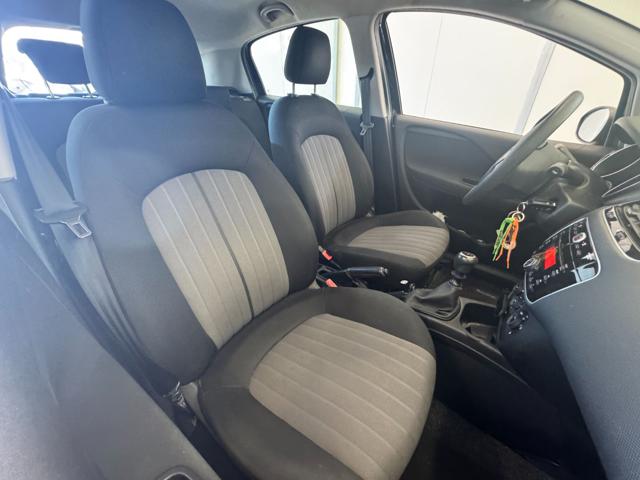 FIAT Punto usata 13