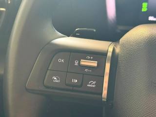 CITROEN C4 usata, con Airbag testa