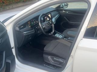 SKODA Octavia usata, con Controllo automatico clima