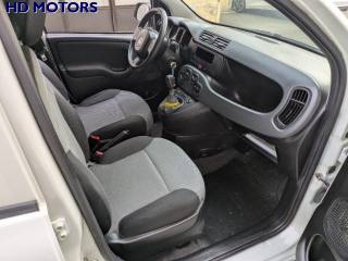 FIAT Panda usata, con Climatizzatore