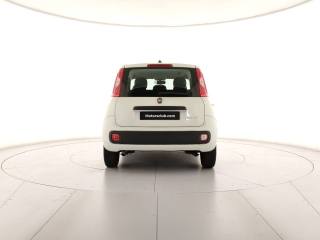 FIAT Panda usata, con Antifurto