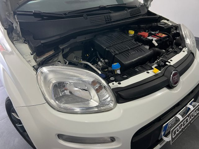 FIAT Panda usata, con Cronologia tagliandi