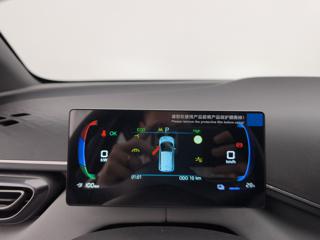 BYD Dolphin Surf usata, con Immobilizzatore elettronico