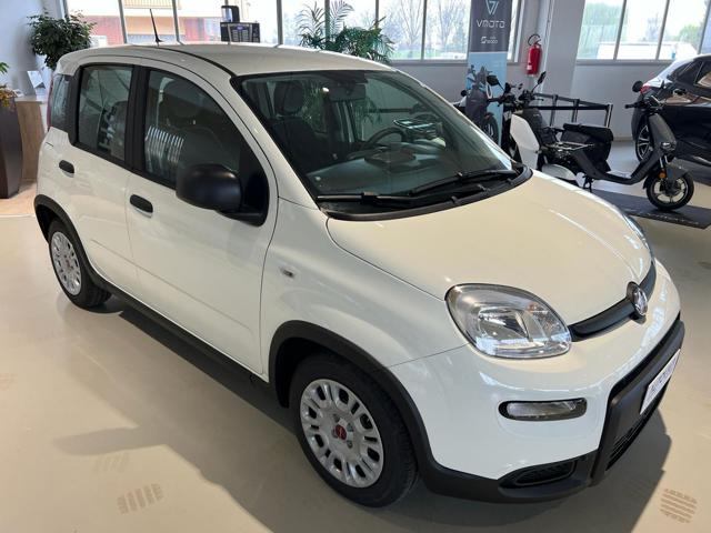 FIAT Panda usata, con Climatizzatore