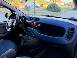FIAT Panda usata, con Fendinebbia