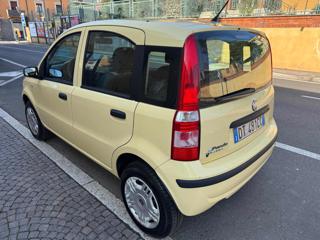 FIAT Panda usata 8