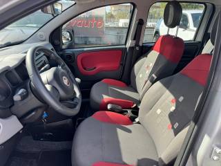 FIAT Panda usata, con Chiusura centralizzata