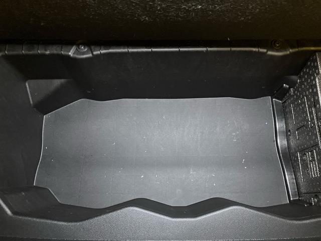 RENAULT Scenic usata 27