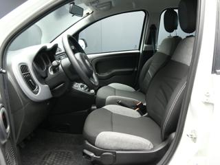 FIAT Panda usata, con ESP