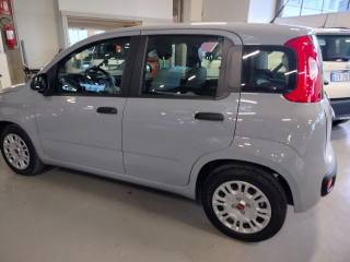 FIAT Panda usata, con Chiusura centralizzata