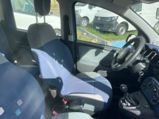 FIAT Panda usata 13
