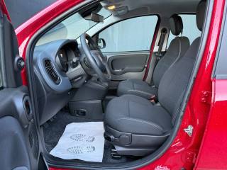 FIAT Panda usata, con Airbag Passeggero