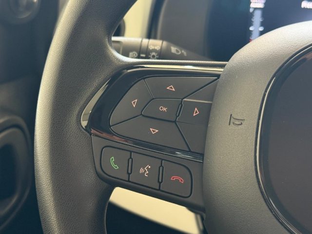 FIAT Panda Cross usata, con Sensore di luce