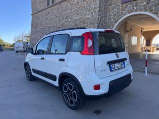 FIAT Panda usata 36