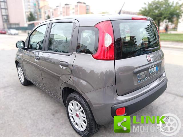 FIAT Panda usata 12