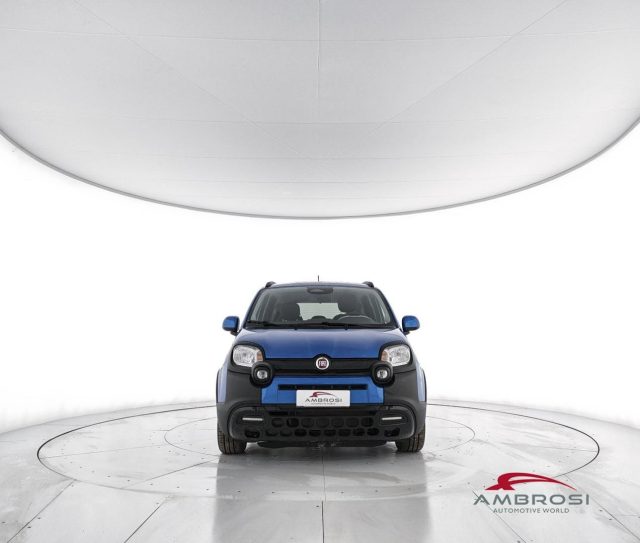 FIAT Panda usata 4