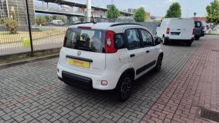 FIAT New Panda usata, con Antifurto