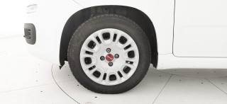 FIAT Panda usata 16