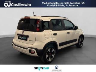 FIAT Panda Cross usata, con Antifurto