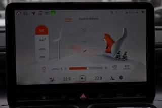 SMART Smart usata, con Sensore di luce