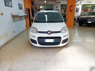 FIAT Panda usata, con Airbag