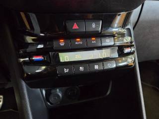 PEUGEOT 2008 usata, con Bluetooth