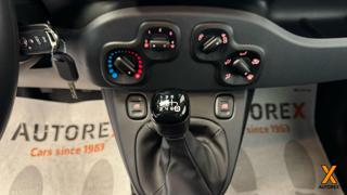 FIAT Panda usata 11