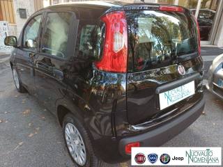 FIAT Panda usata, con Immobilizzatore elettronico