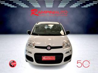 FIAT Panda usata 2
