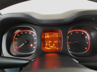 FIAT Panda usata 13
