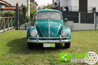 VOLKSWAGEN Maggiolino usata 16