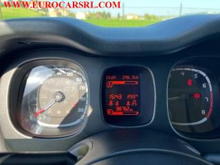 FIAT Panda usata 11