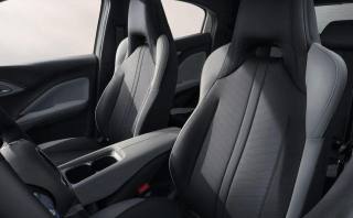 BYD Dolphin Surf usata, con Chiusura centralizzata