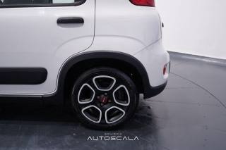 FIAT New Panda usata 26