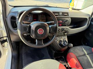 FIAT Panda usata, con ESP